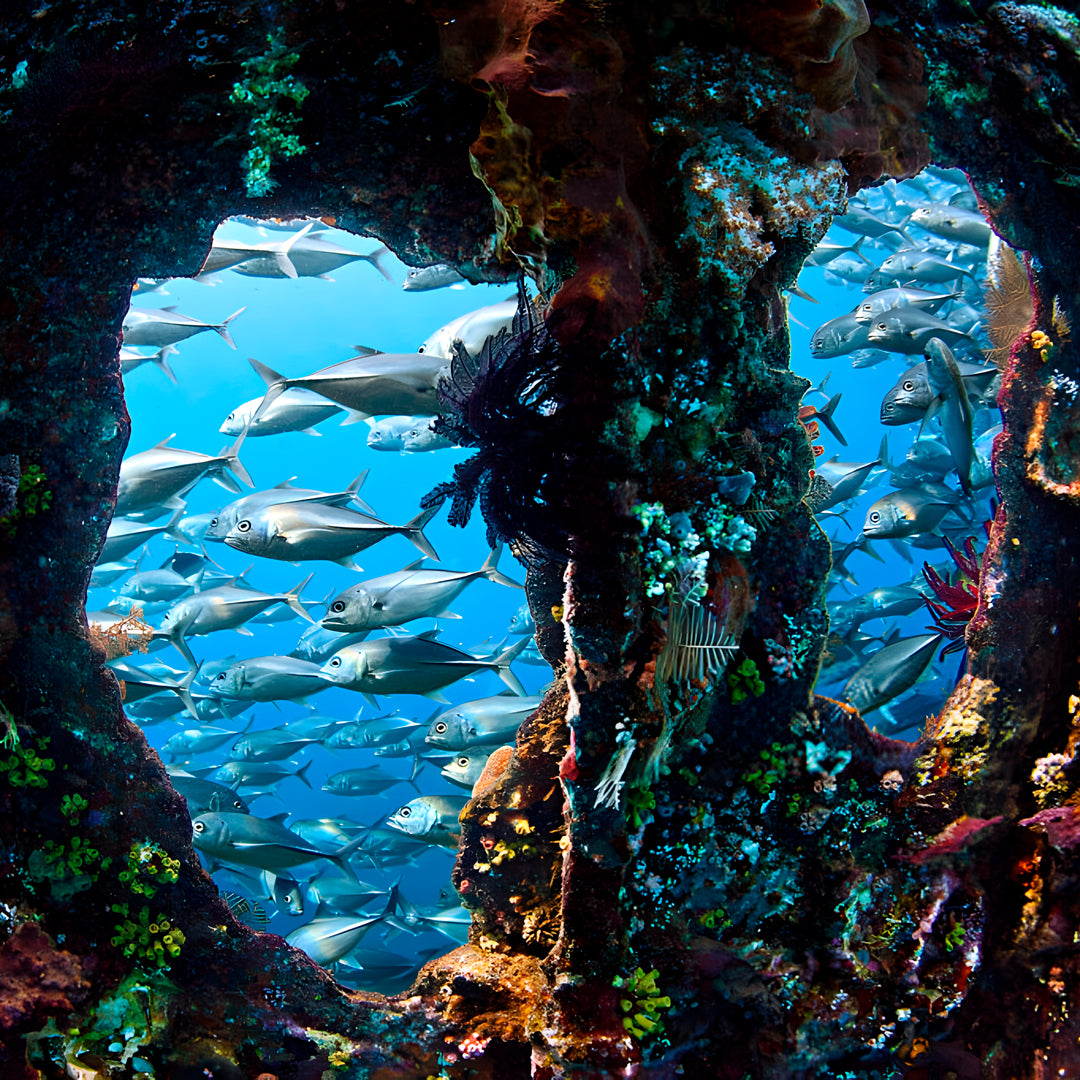Discover Scuba Diving in Khao Lak