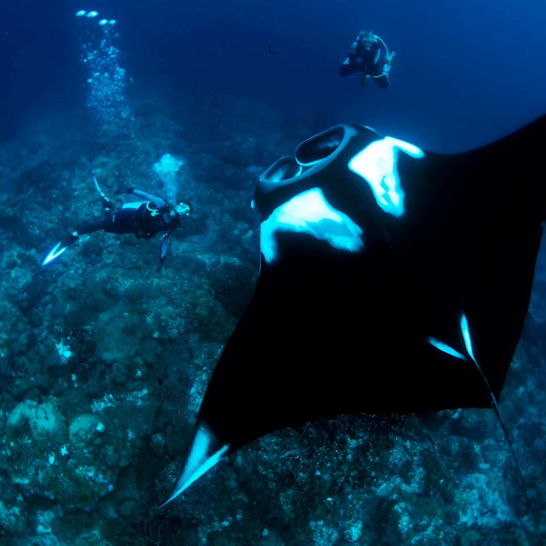 Khao Lak Scuba Diving Refresher Course