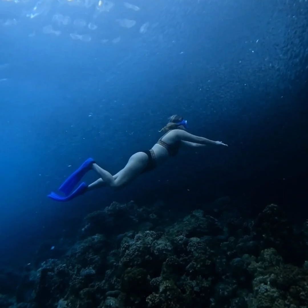 Discover Freediving in Panglao