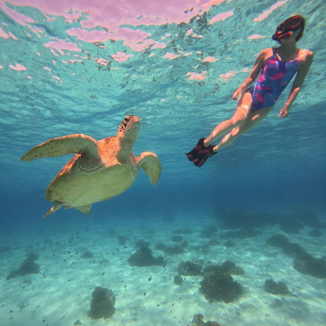 Discover Freediving in Panglao