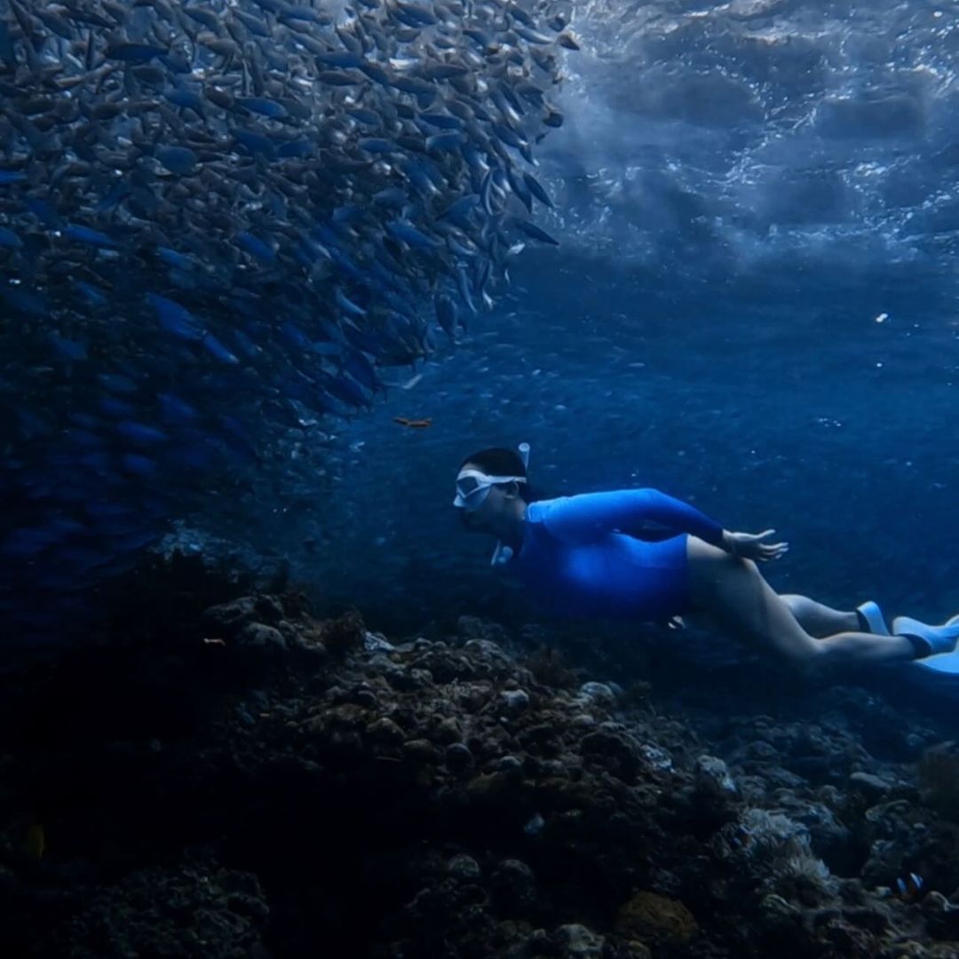 Discover Freediving in Panglao