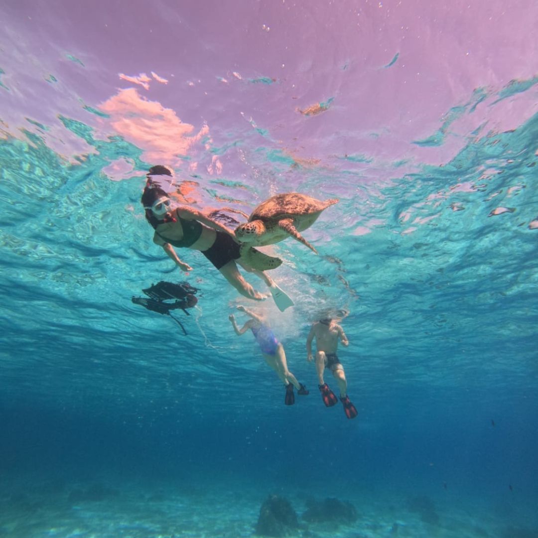 Discover Freediving in Panglao