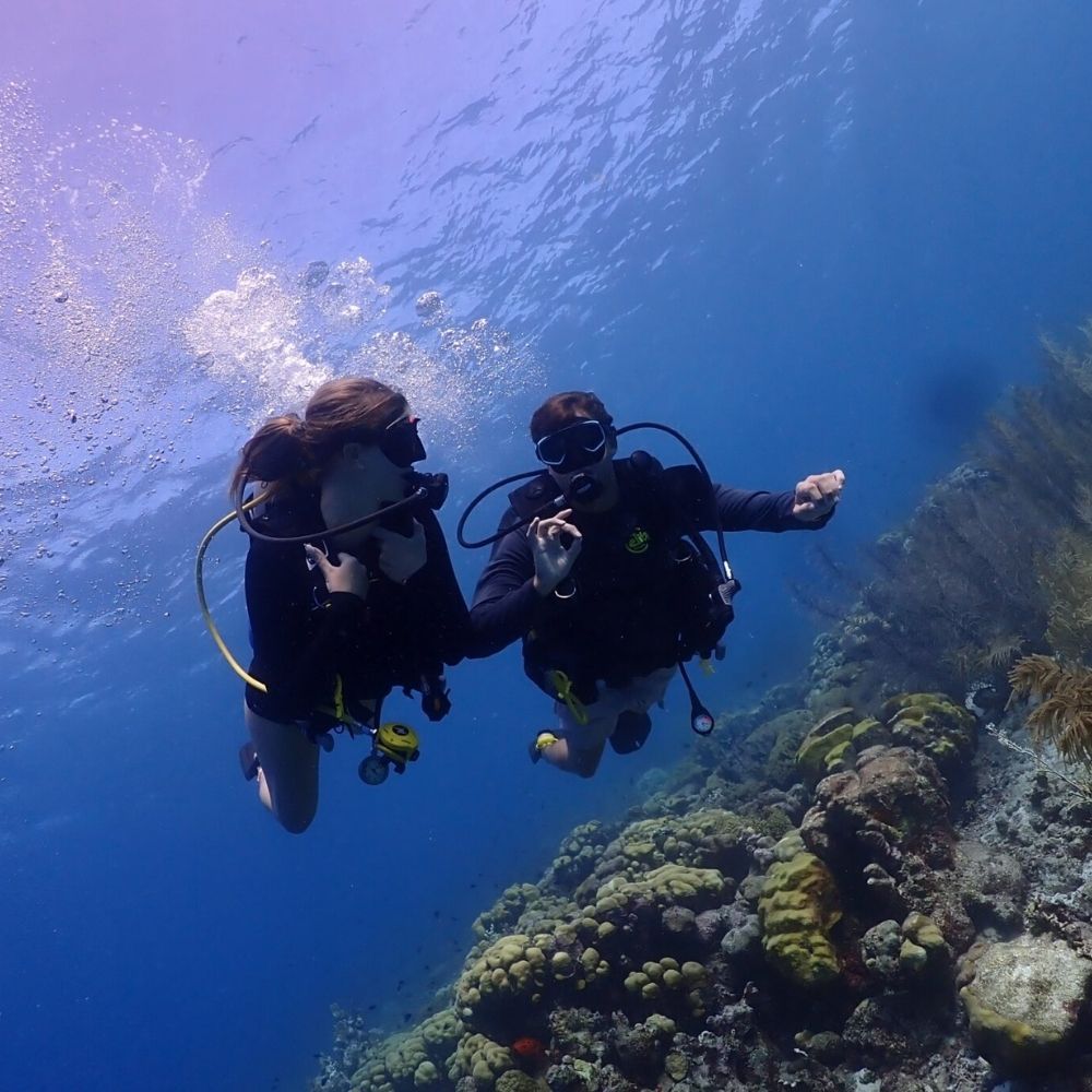 Private Boat Diving Experience Bonaire Marine Park