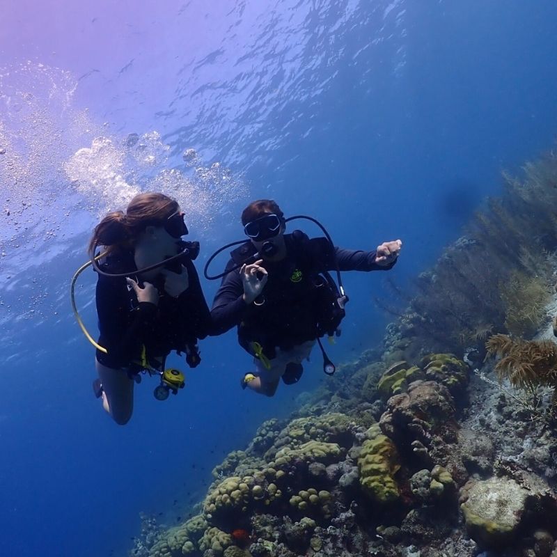 Bonaire Marine Park Scuba Diving
