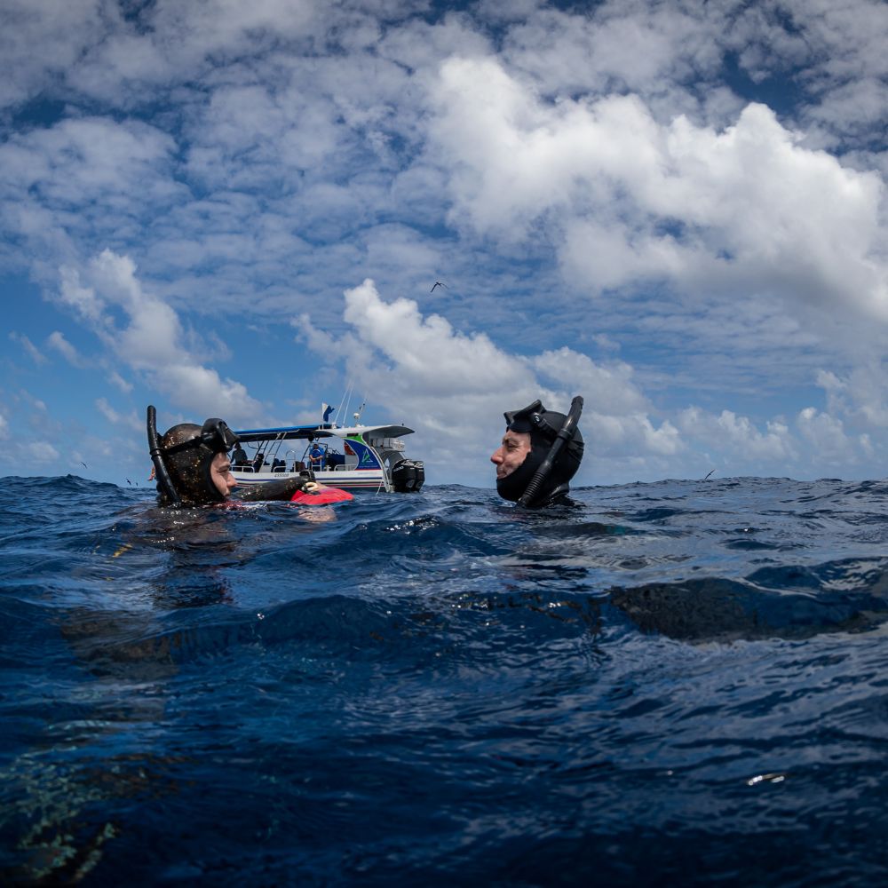 Advanced Spearfishing Course in Bali Aquatic Apes
