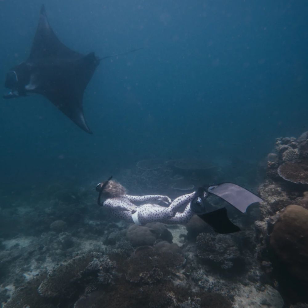 Advanced Freediving Course in Bali Aquatic Apes