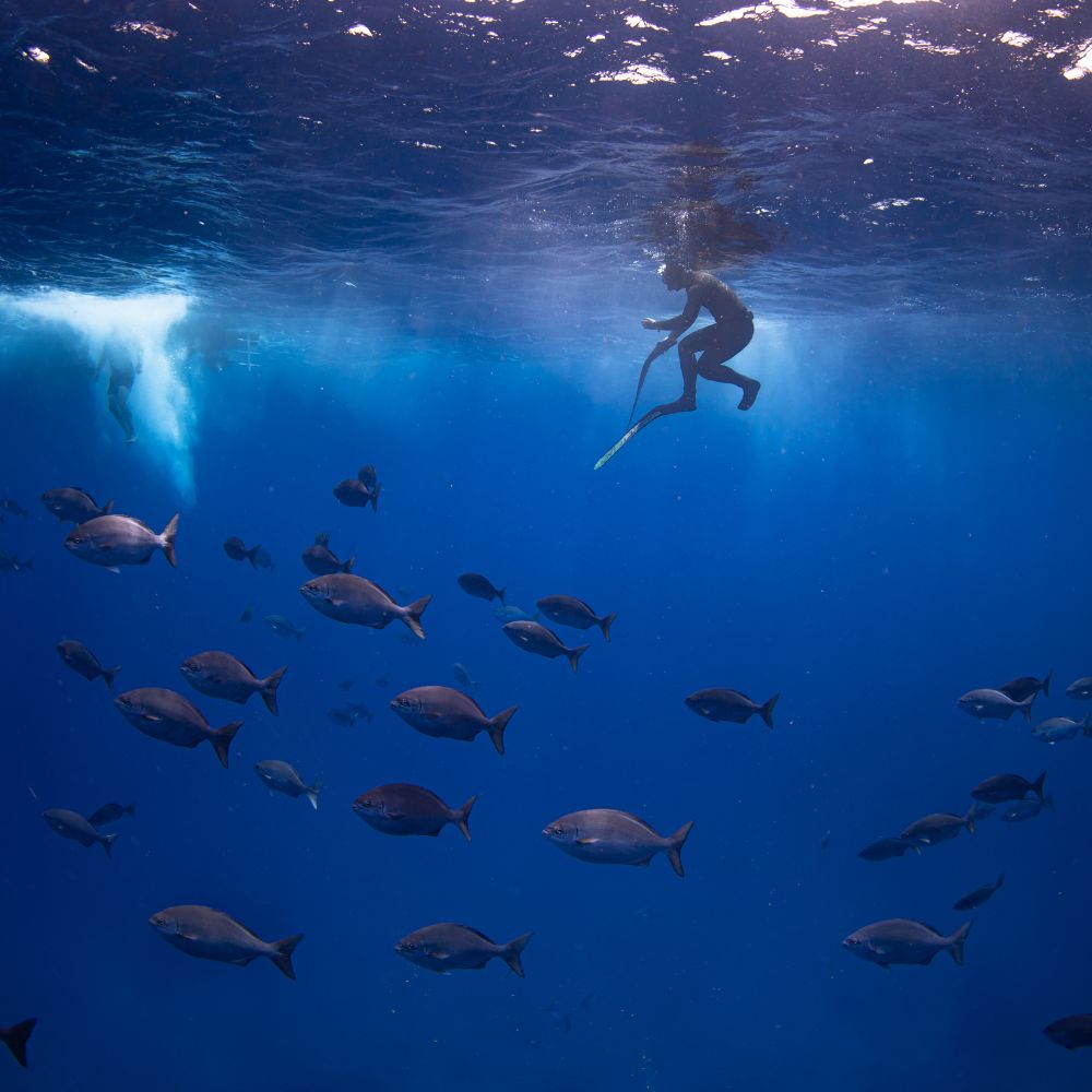 Advanced Spearfishing Course in Bali Aquatic Apes