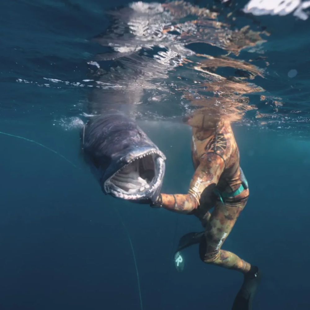 Advanced Spearfishing Course in Bali Aquatic Apes