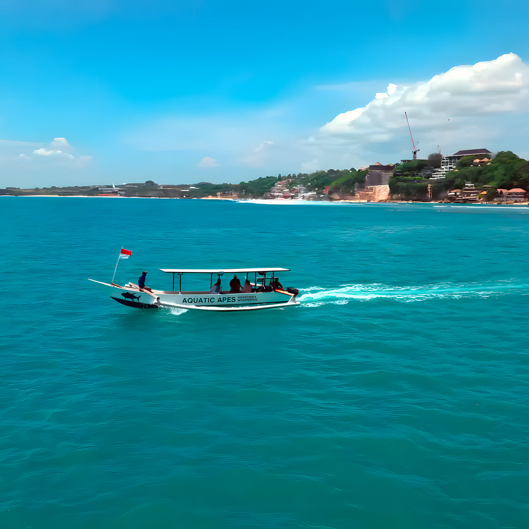 Bluewater Spearfishing Charter in Bali