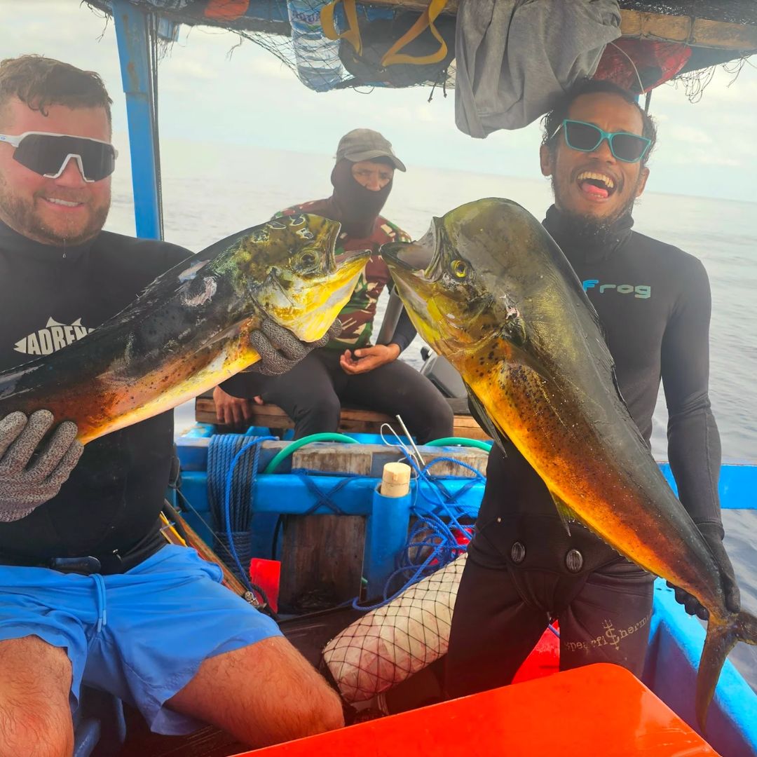 Excursiones de pesca submarina en vida a bordo en zonas remotas de Indonesia