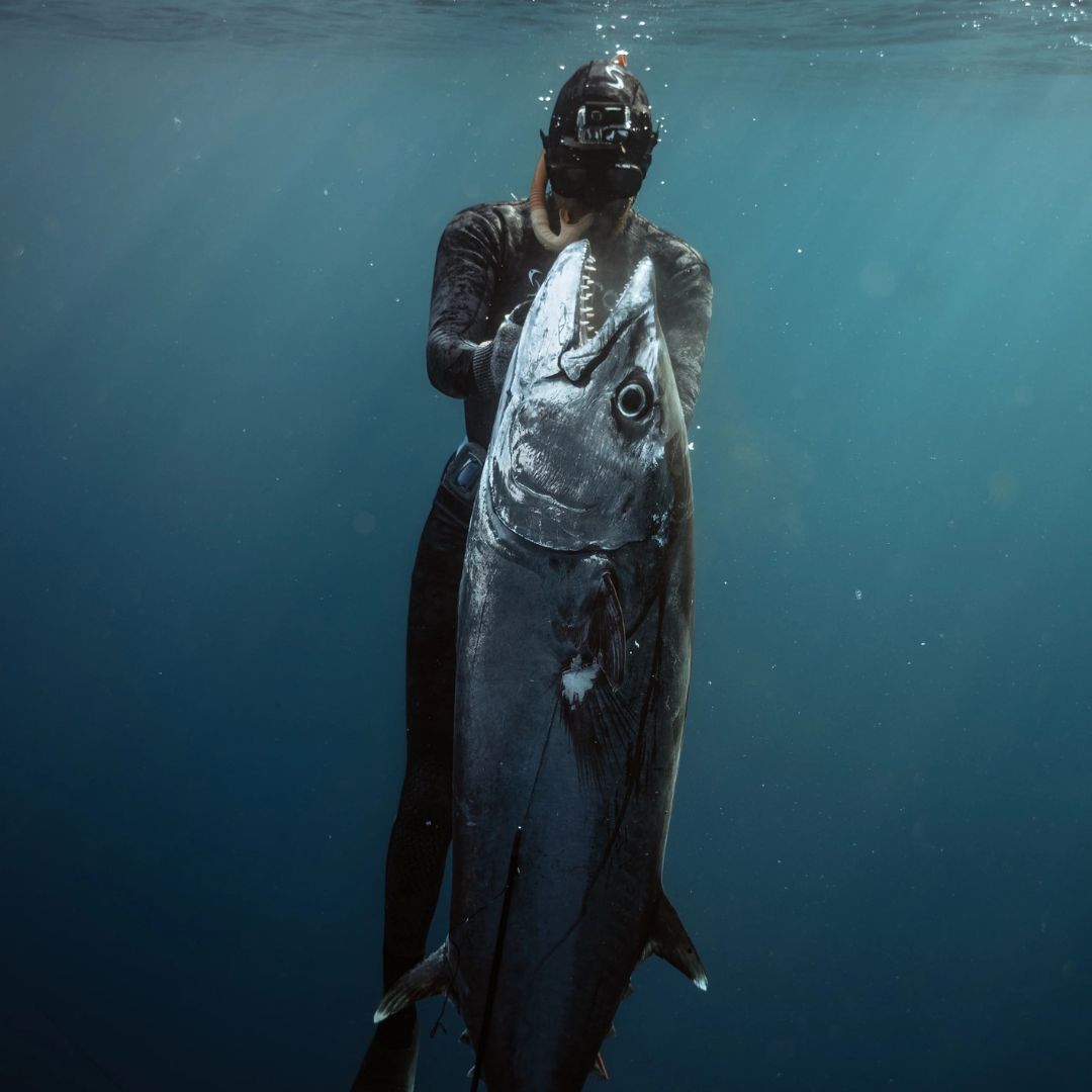 Excursiones de pesca submarina en vida a bordo en zonas remotas de Indonesia