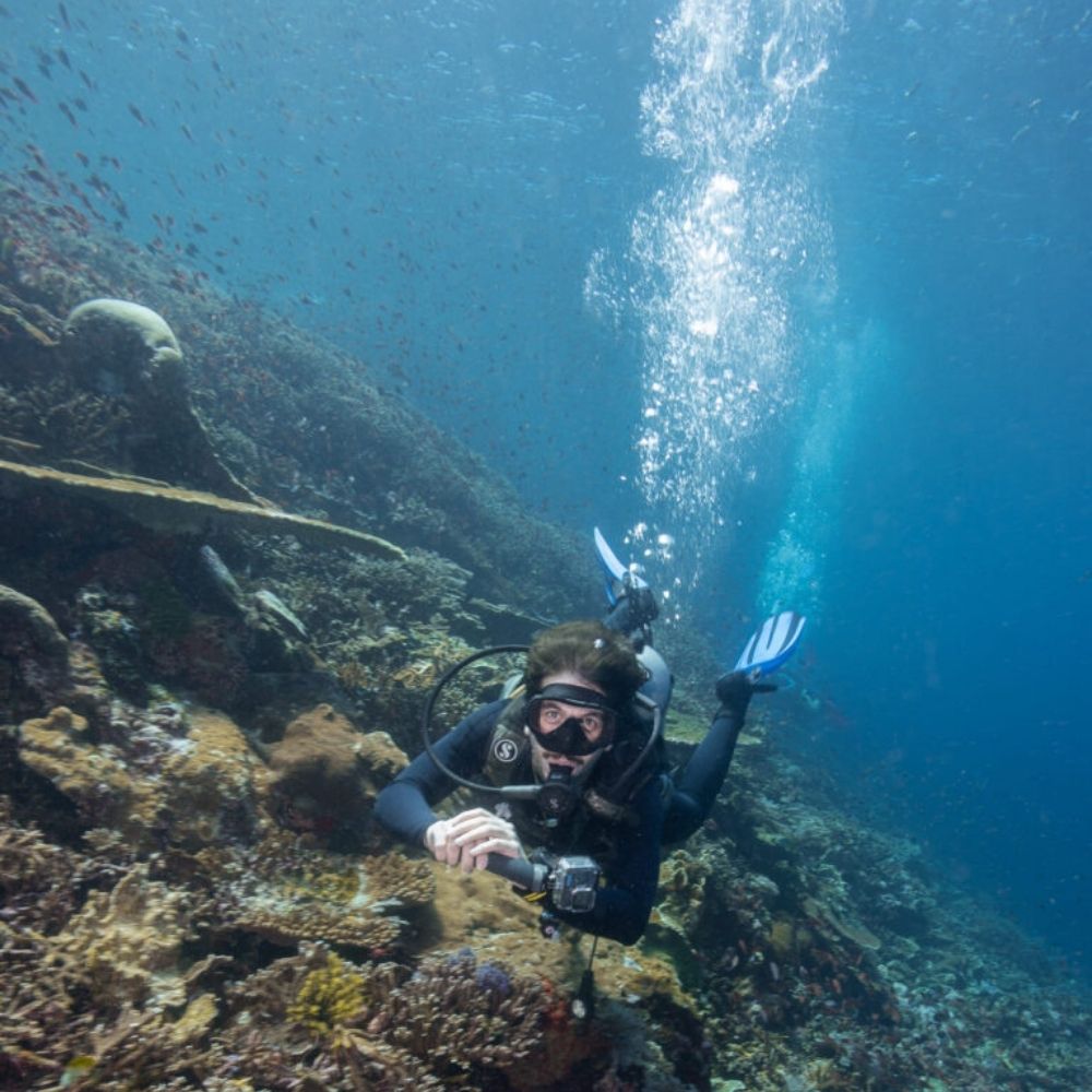Komodo Island Shared Diving Liveaboard