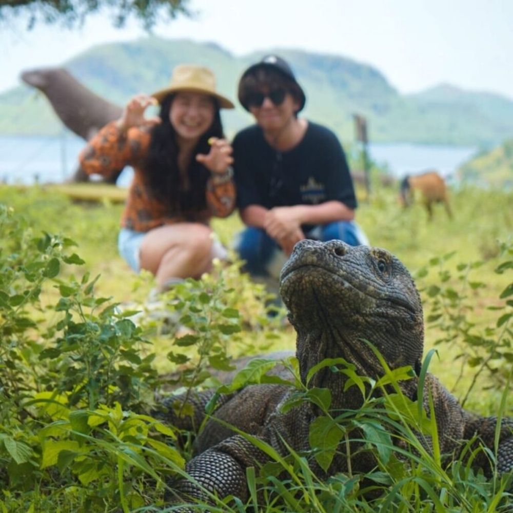 Komodo Island Shared Diving Liveaboard