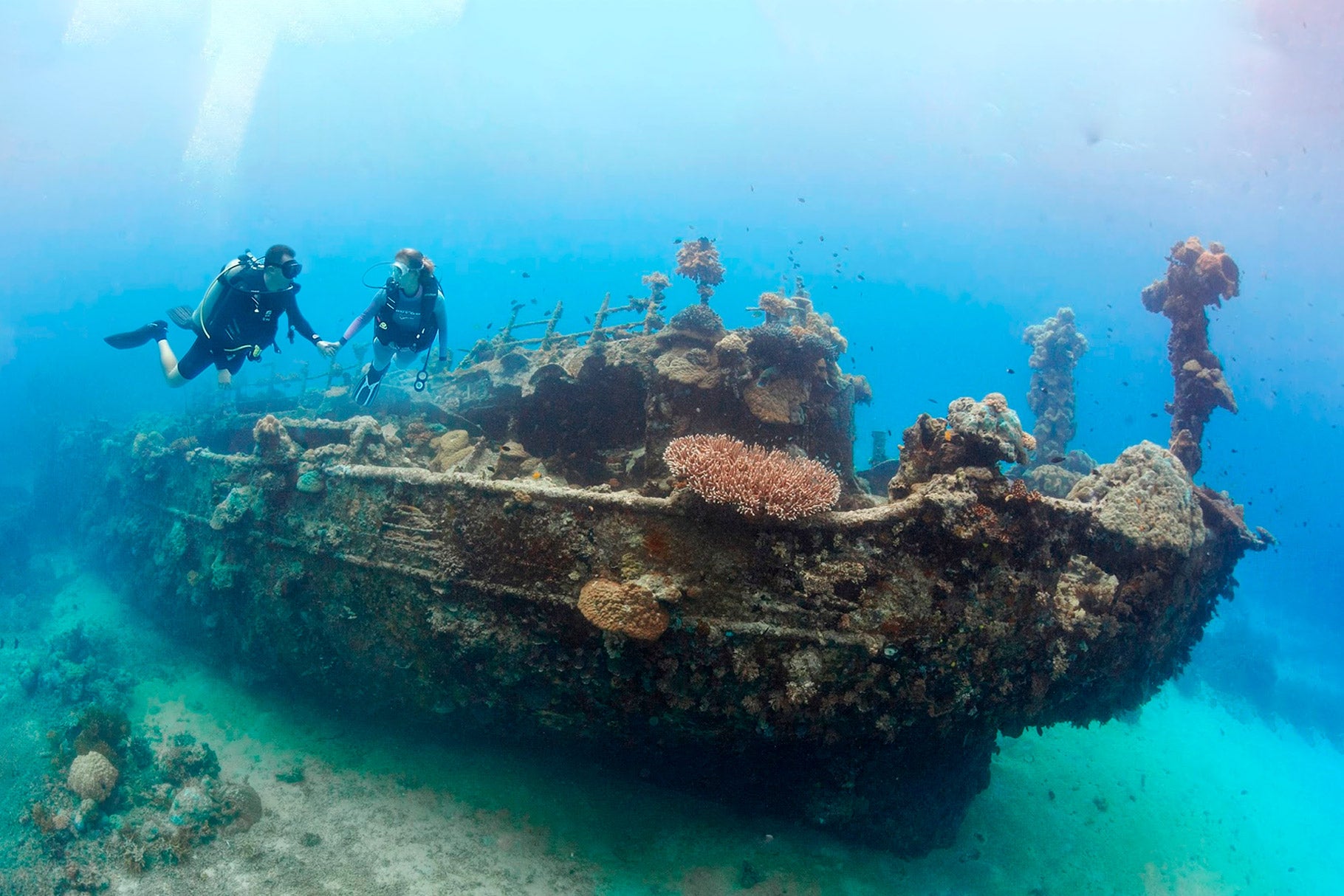 Dive Bookings