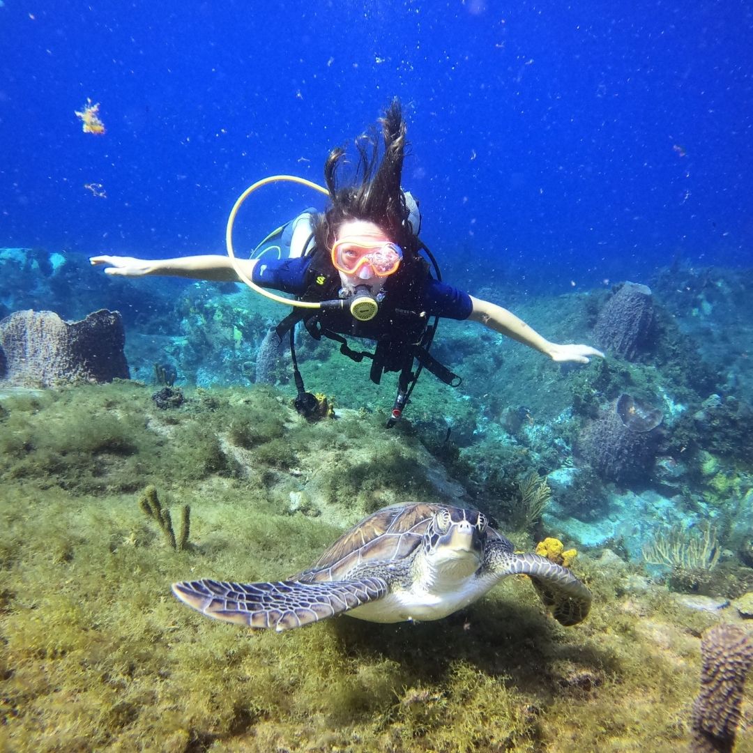 Scuba Diving with Turtles