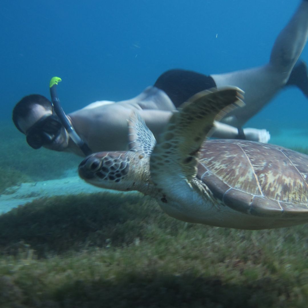 Beginner Scuba Diving Course