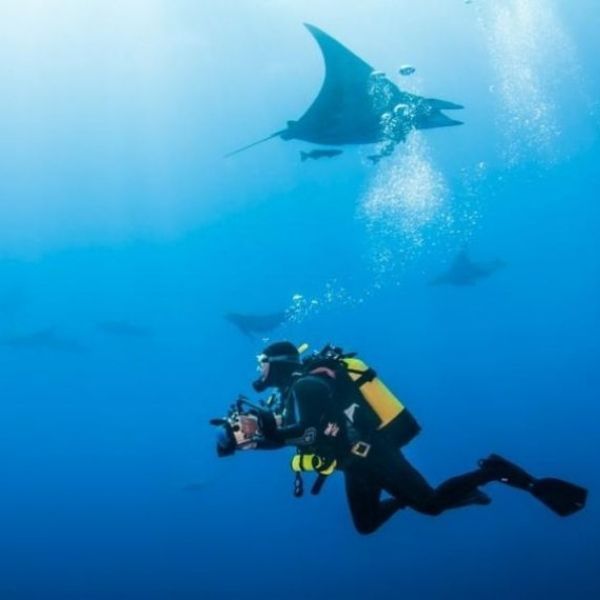 Azores Santa Maria Island Scuba Diving Trip