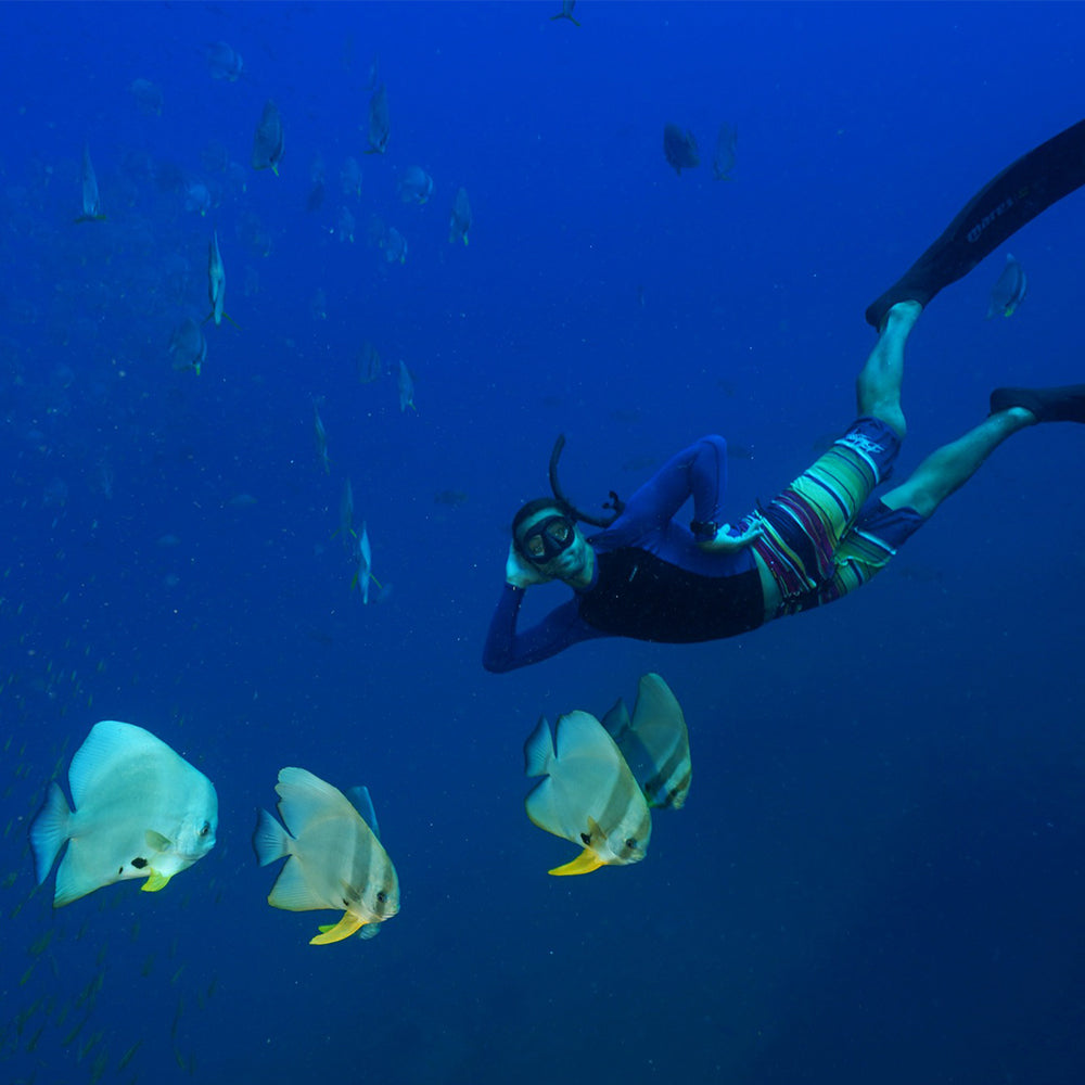 PADI Advanced Freediver Course