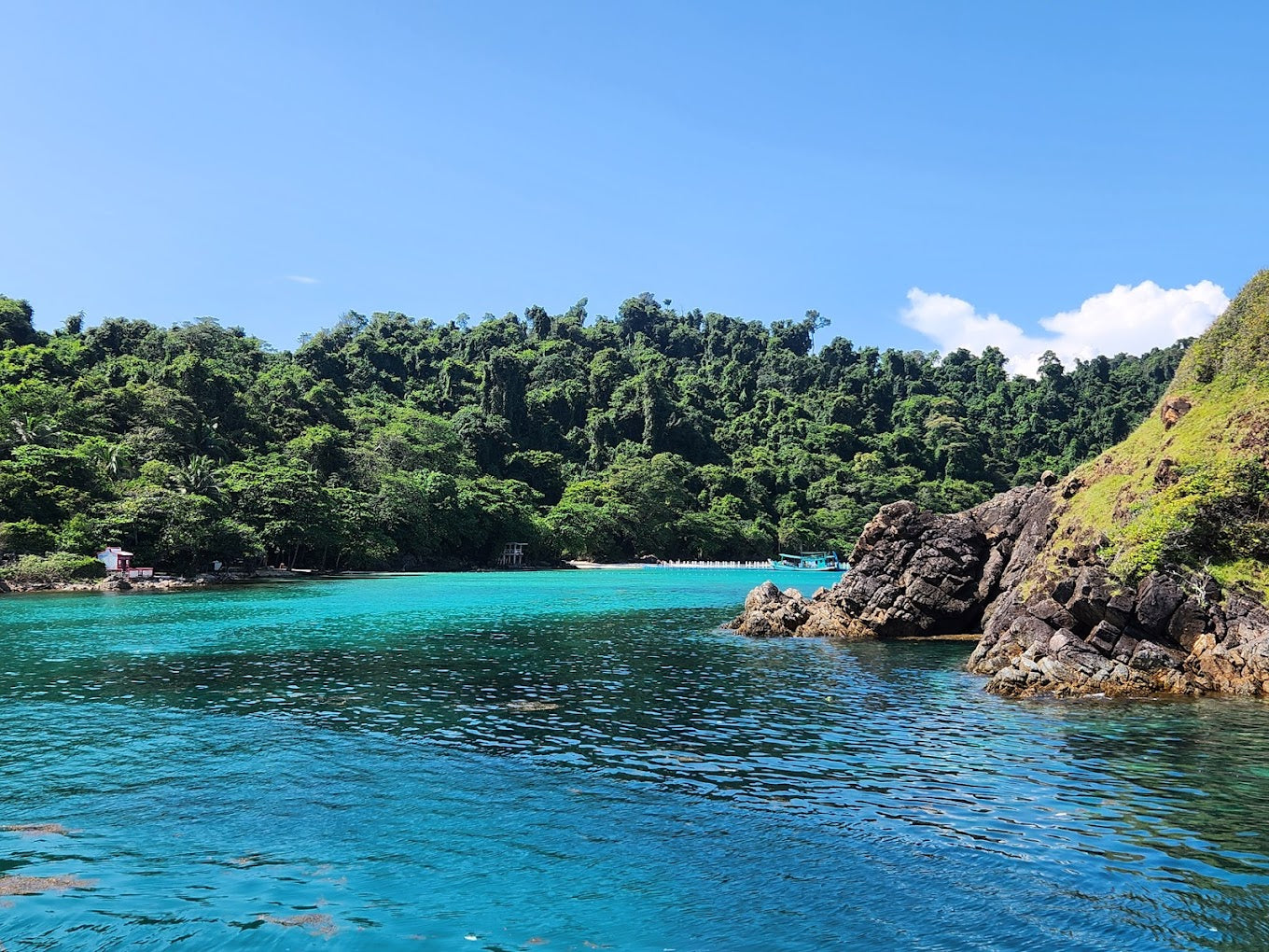 PADI Freedive Instructor Course