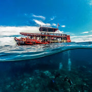 PADI Freedive Instructor Course