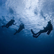 Discover Scuba Diving