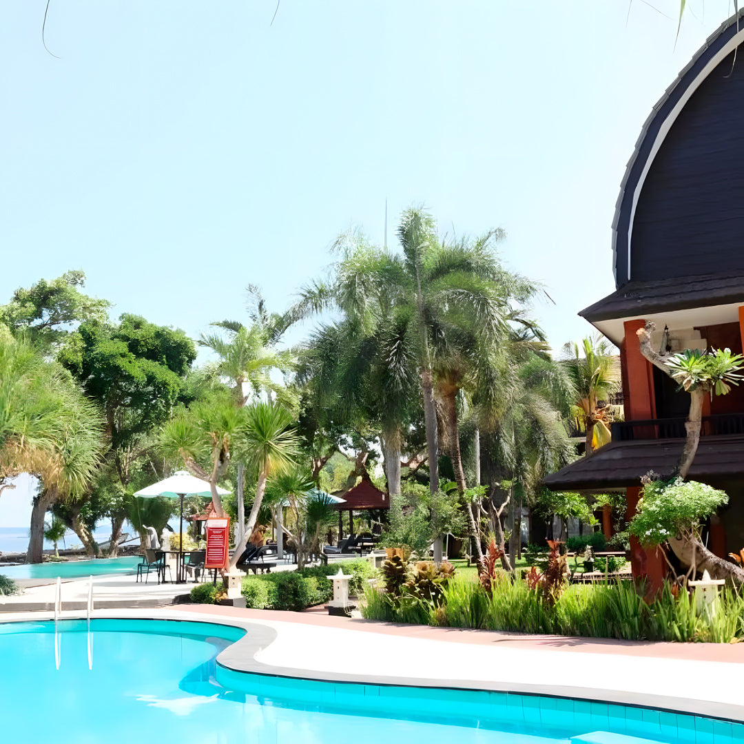 Spearfishing Bali Dive Trip