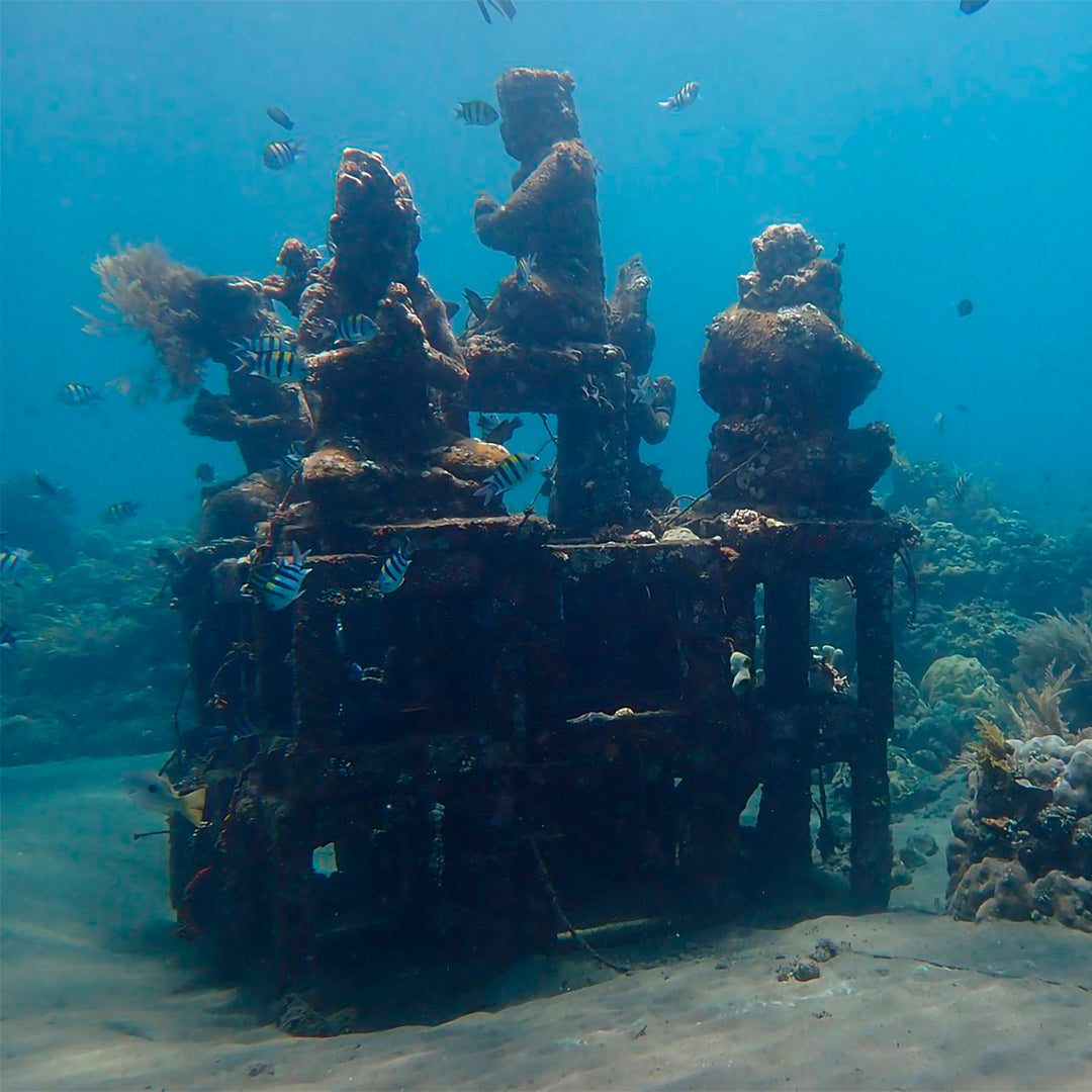Introduction to Freediving in Amed Amed Dive Explorer