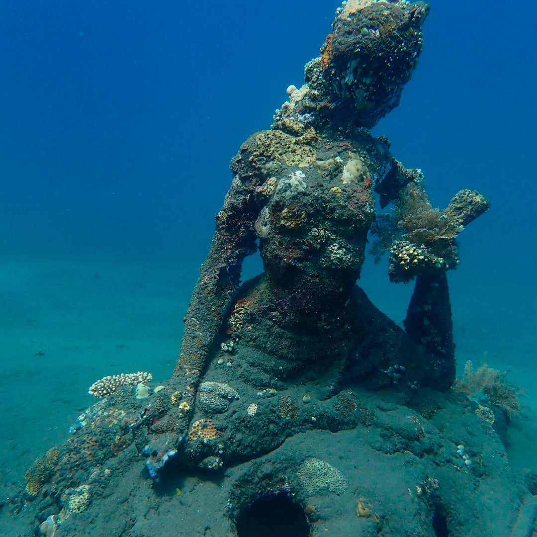 Introduction to Freediving in Amed Amed Dive Explorer