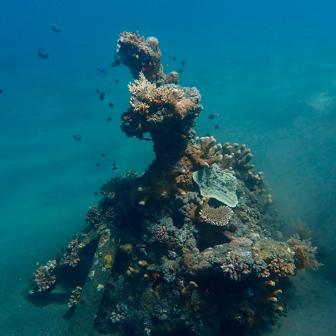 Introduction to Freediving in Amed Amed Dive Explorer
