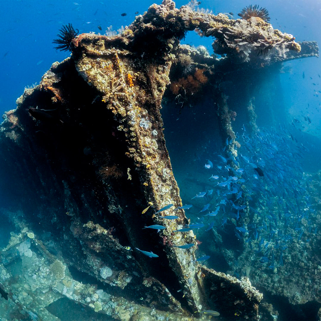 Introduction to Freediving in Amed Amed Dive Explorer