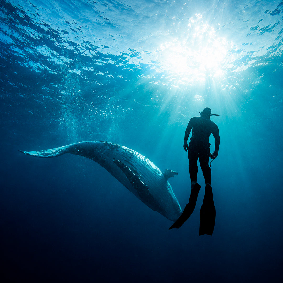 Amed Bali Freediving Trip