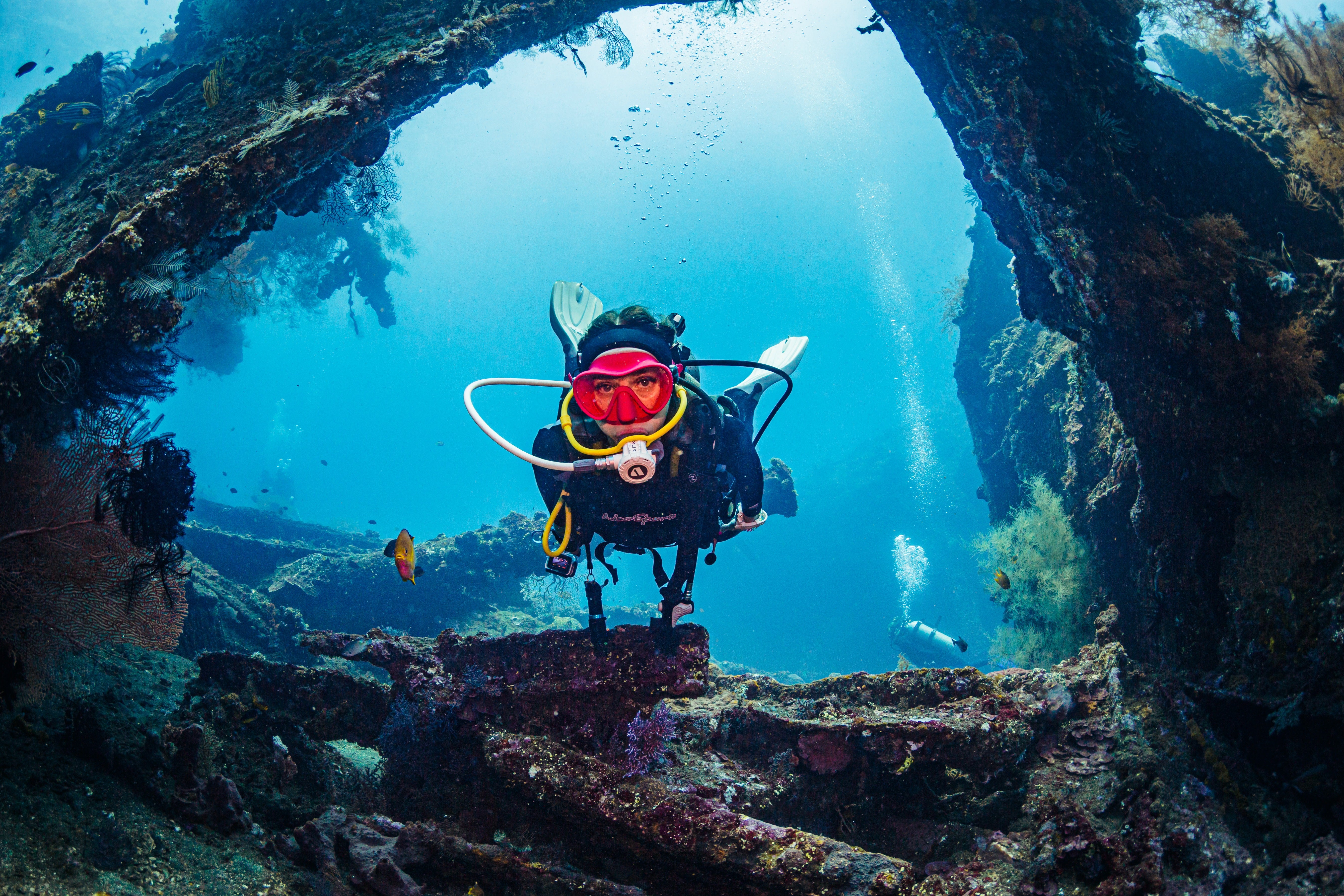 Dive Bookings