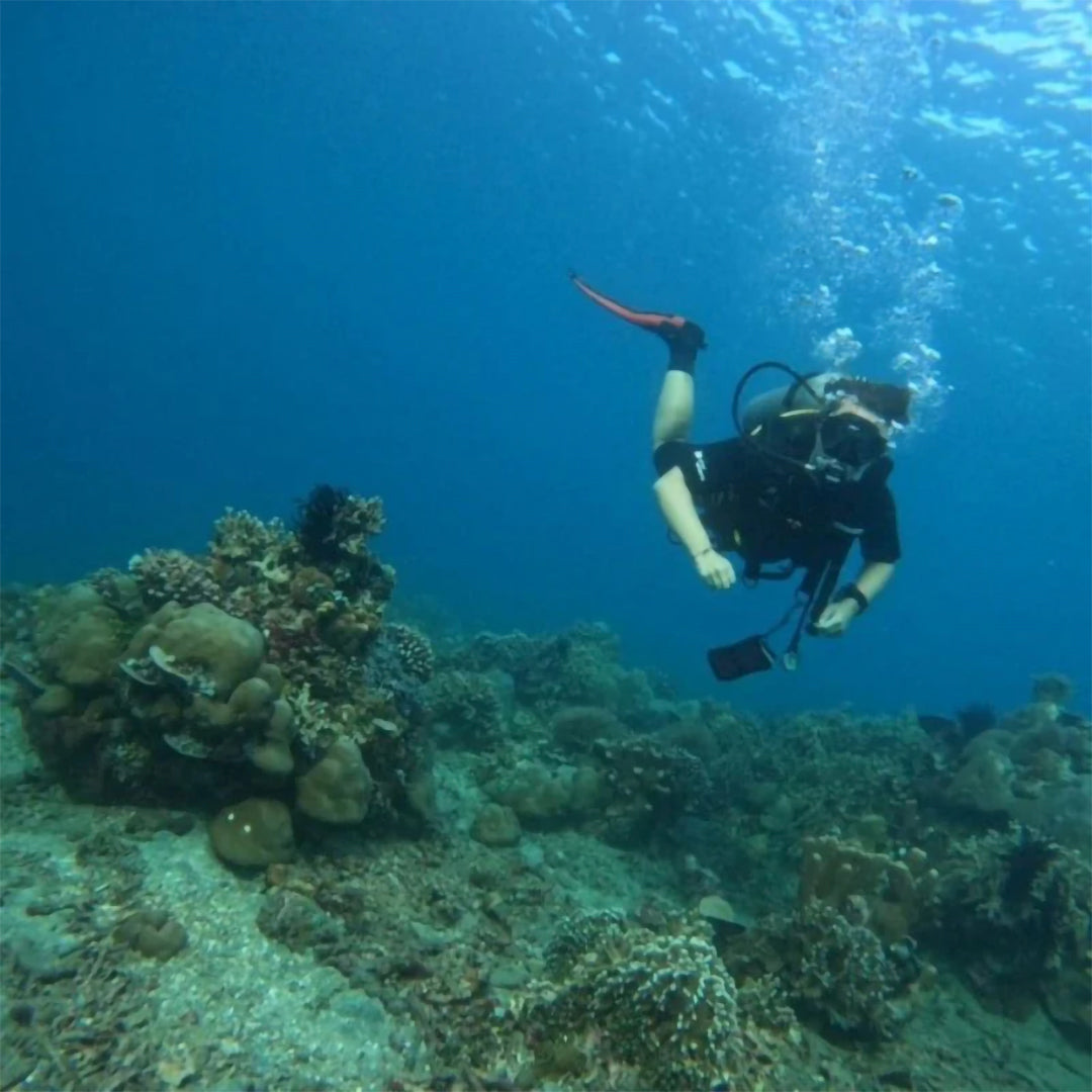 Introductory Scuba Dive in Jemeluk Bay Amed Dive Explorer