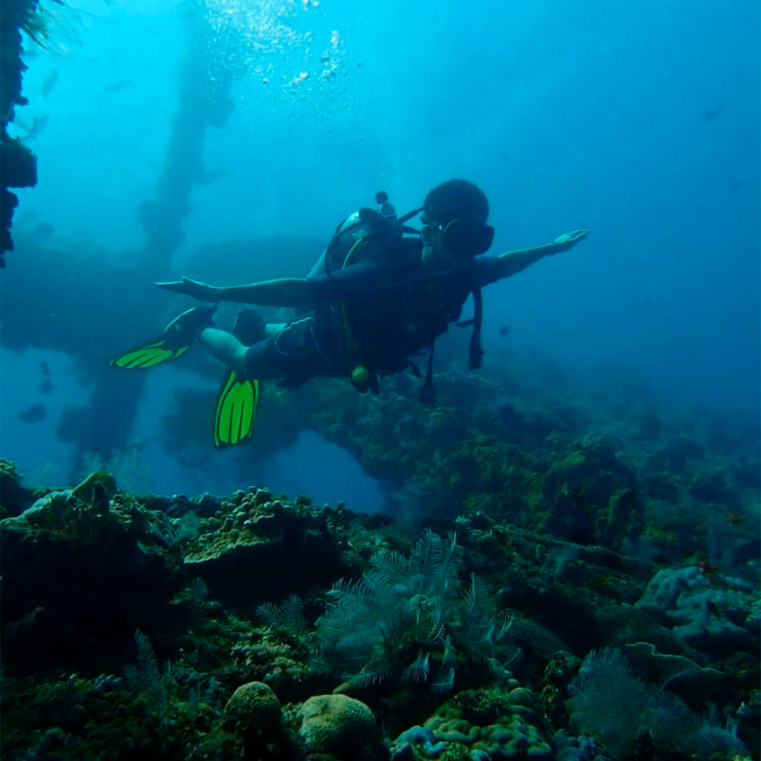 Introductory Scuba Dive in Jemeluk Bay Amed Dive Explorer