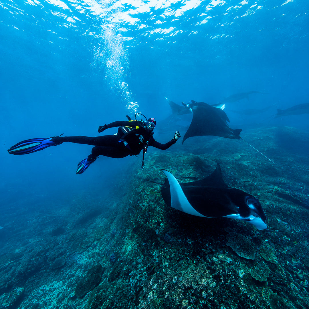 Padang Bai Fun Dive Day Trip