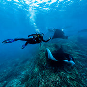 3-Day Best of Bali Scuba Diving Trip