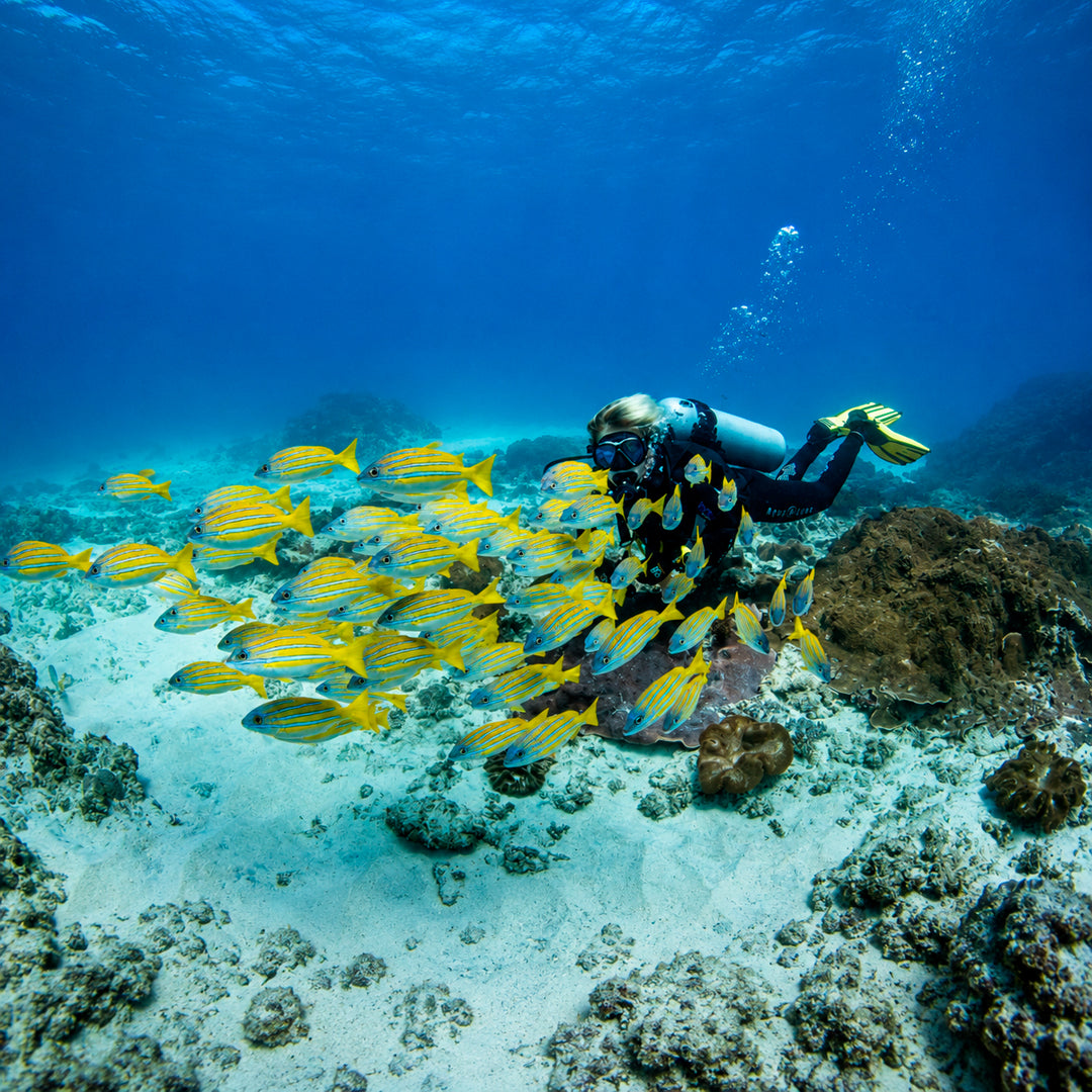 Padang Bai Fun Dive Day Trip