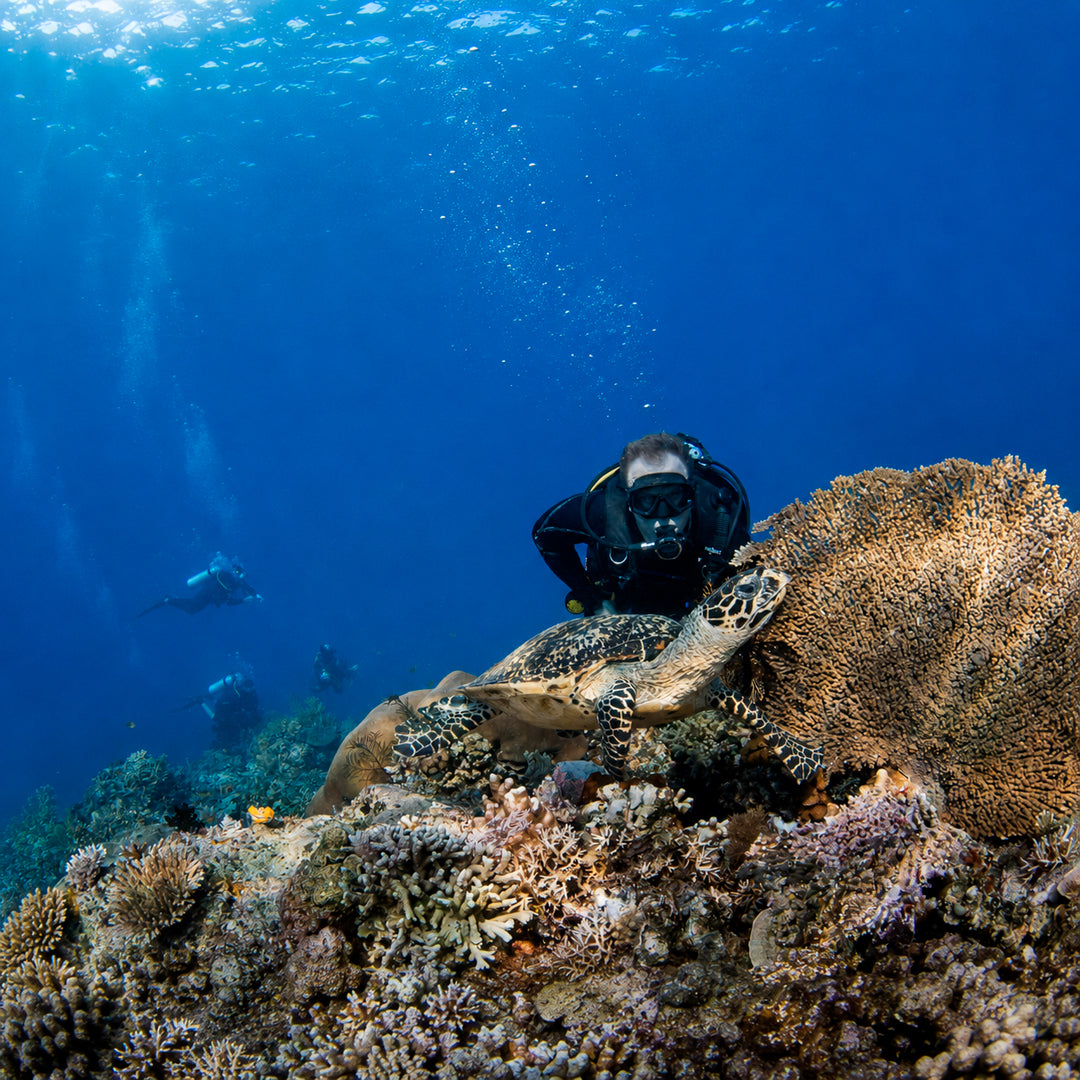 Padang Bai Fun Dive Day Trip