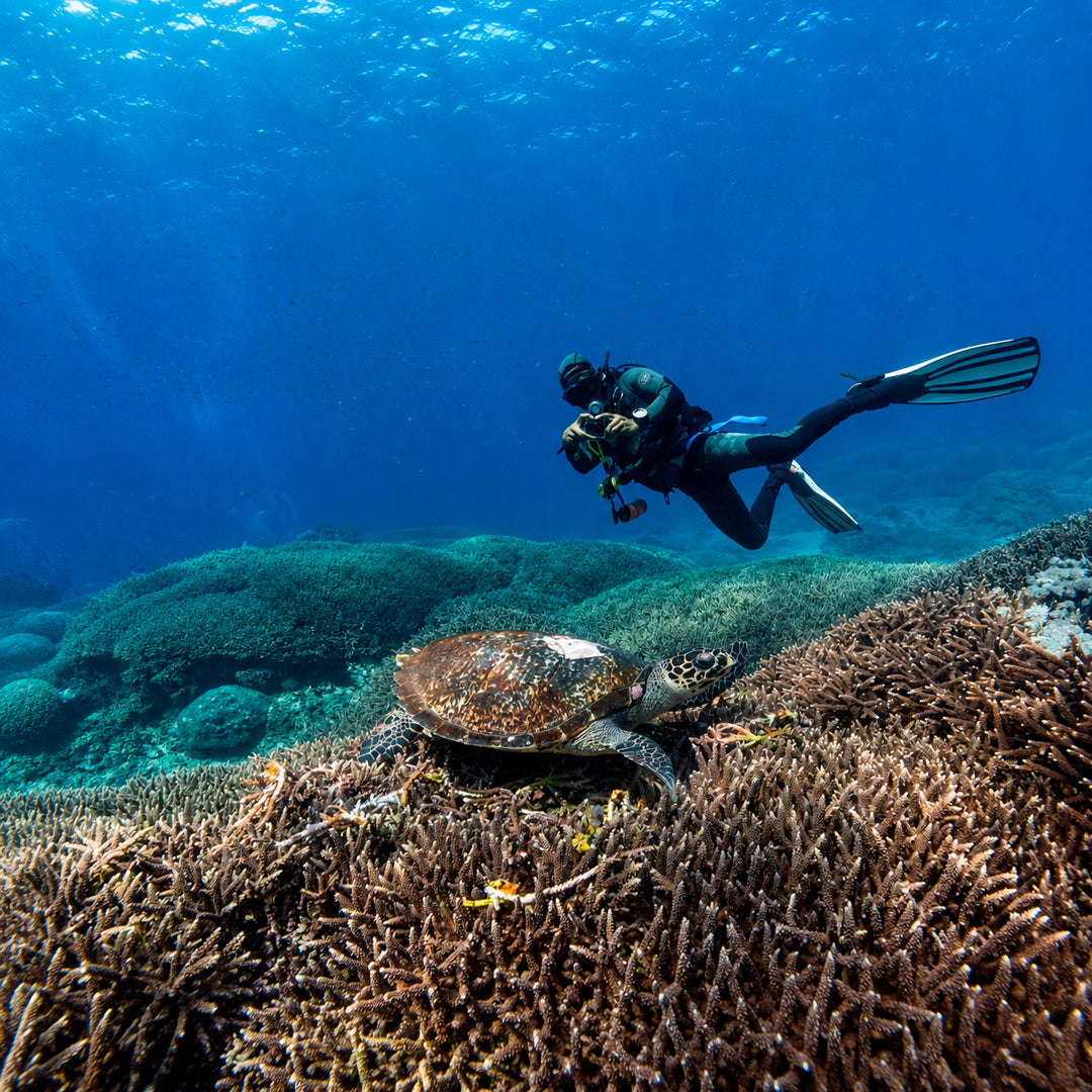 Padang Bai Fun Dive Day Trip