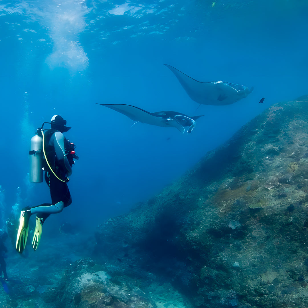 Nusa Penida Fun Dive Day Trip