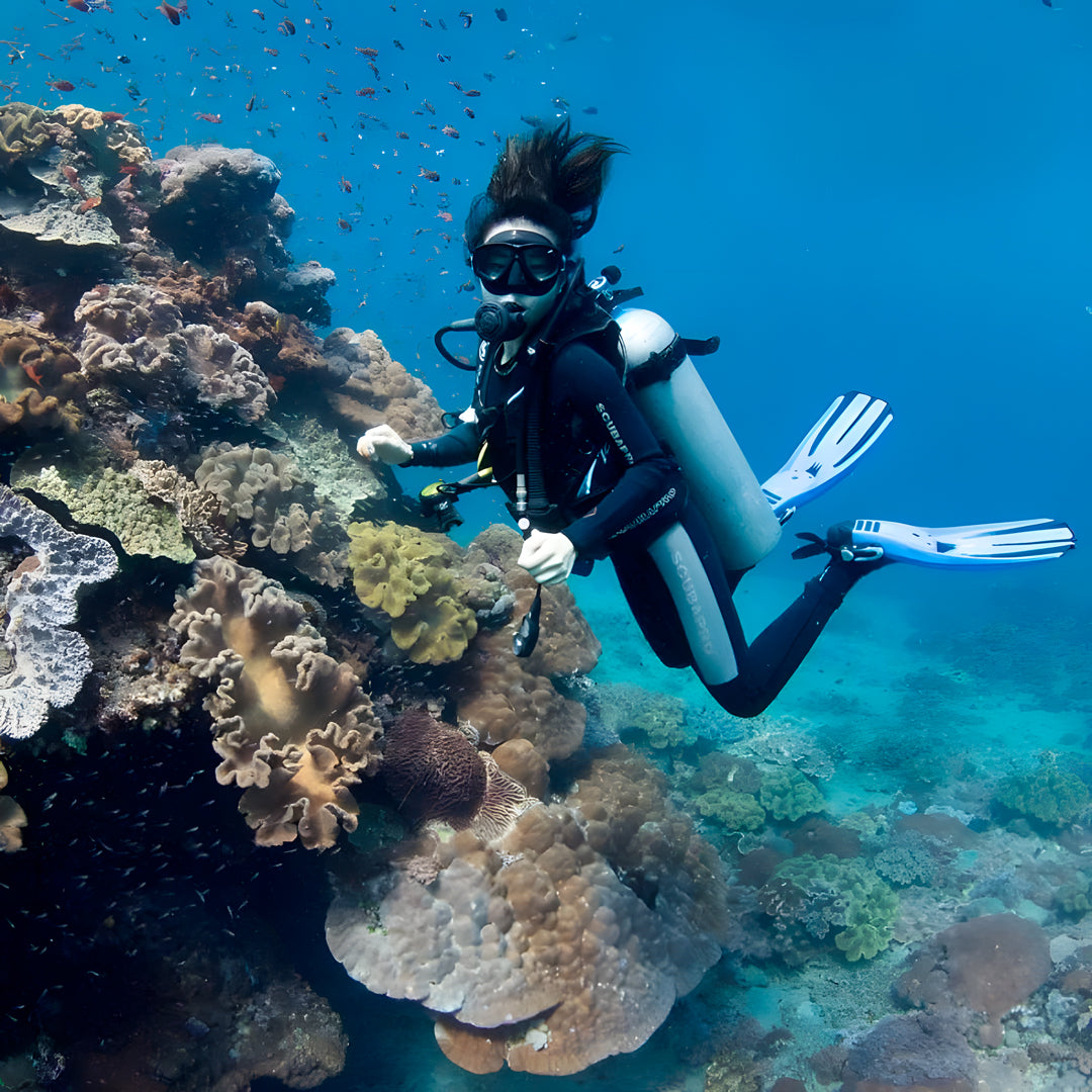 Padang Bai Fun Dive Day Trip