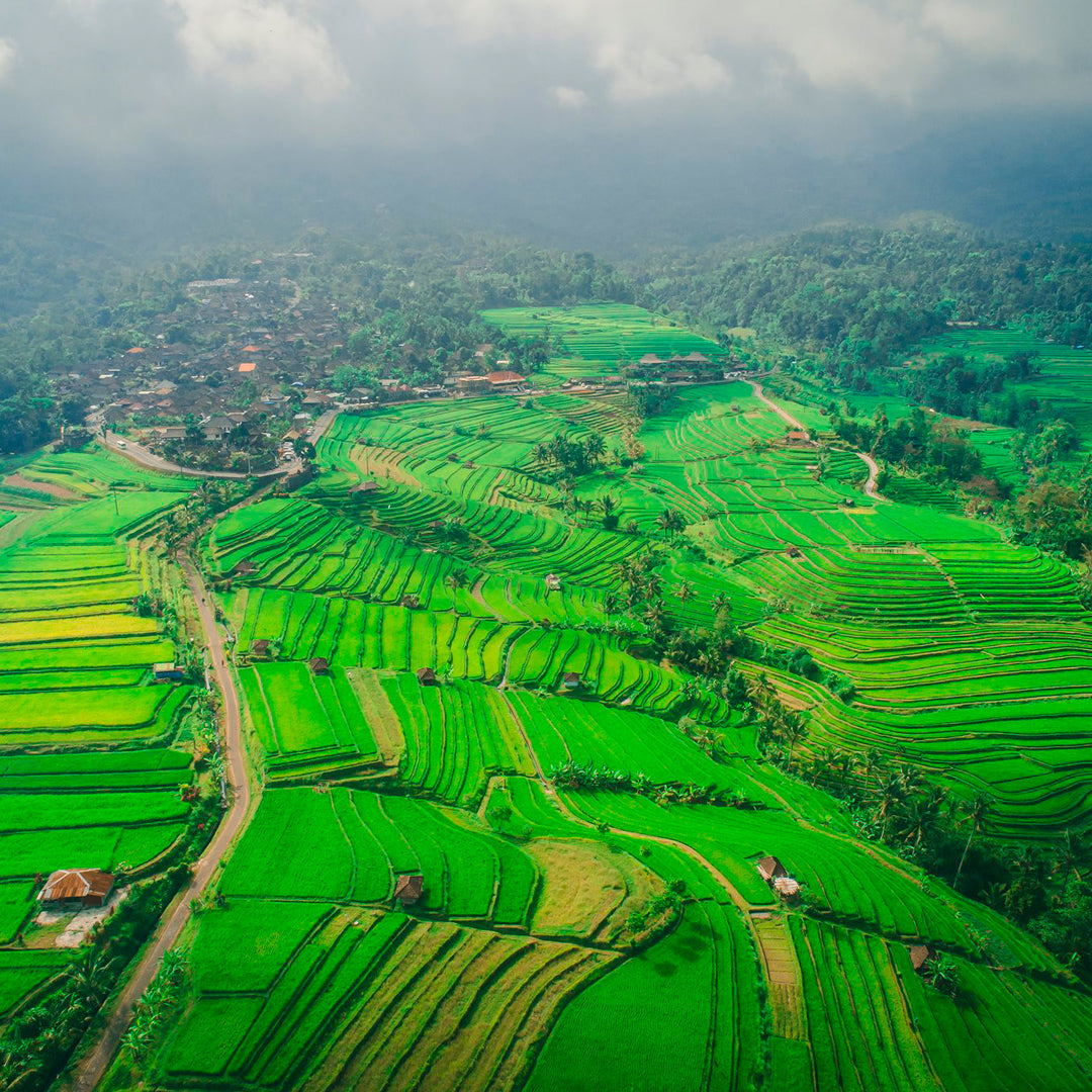 Discover Scuba Diving in Padang Bai Kriss Bali Diving
