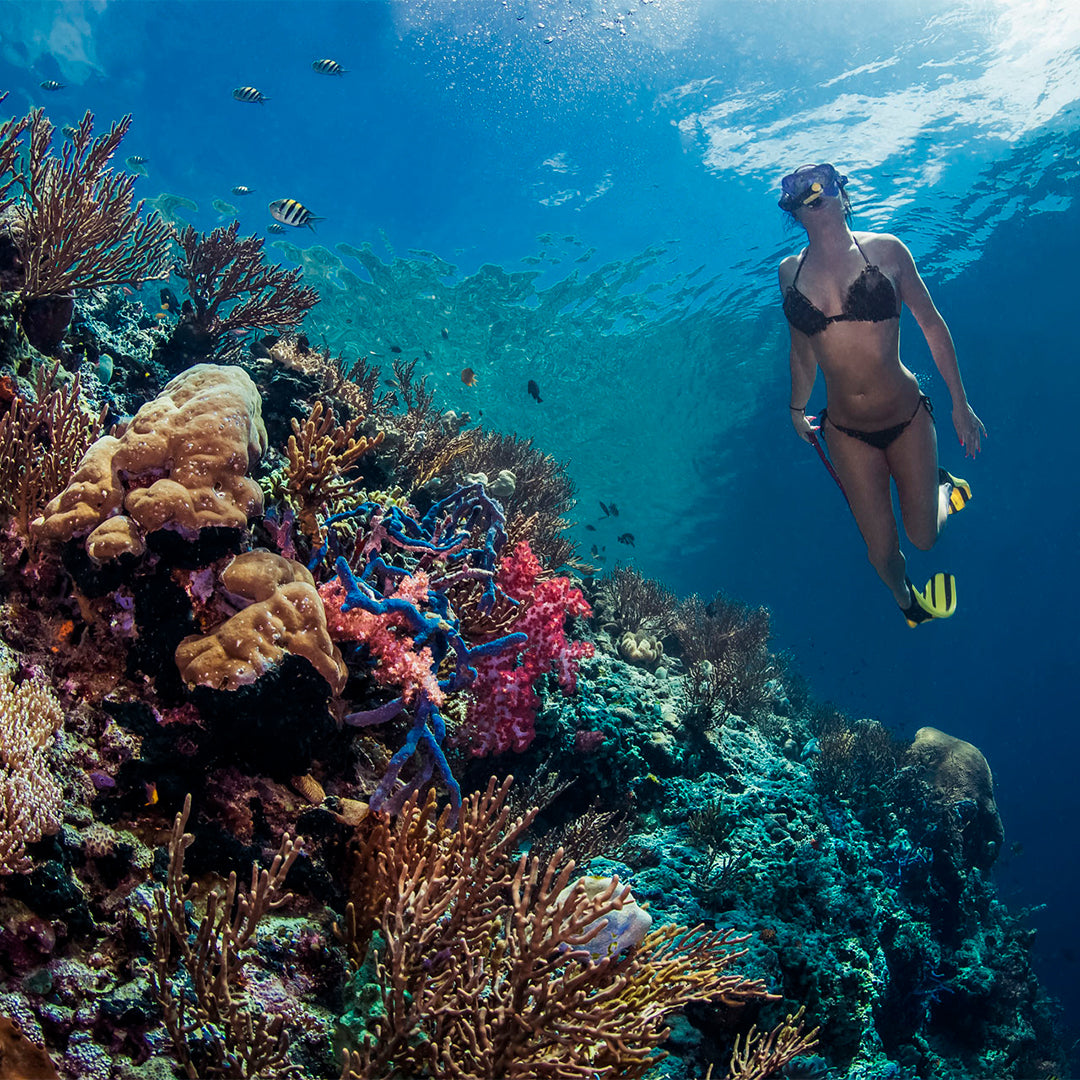 Open Water Diver Course in Bali