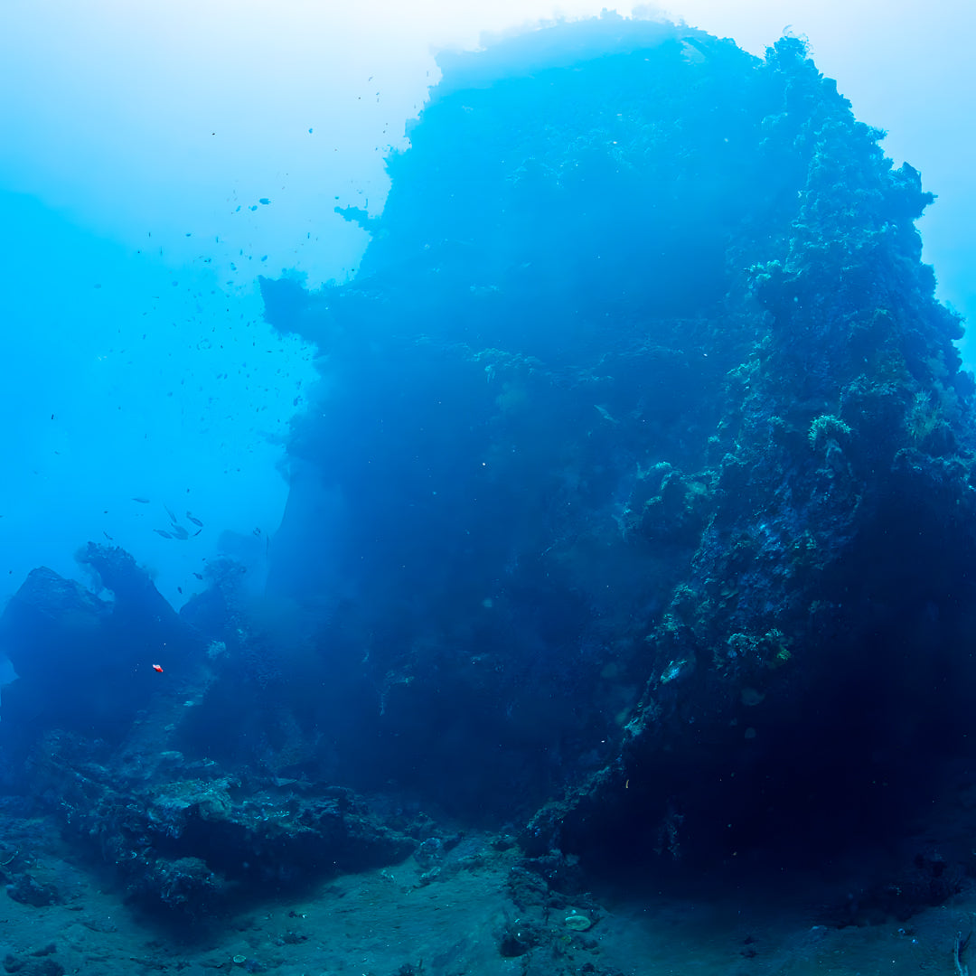 Discover Scuba Diving in Padang Bai Kriss Bali Diving