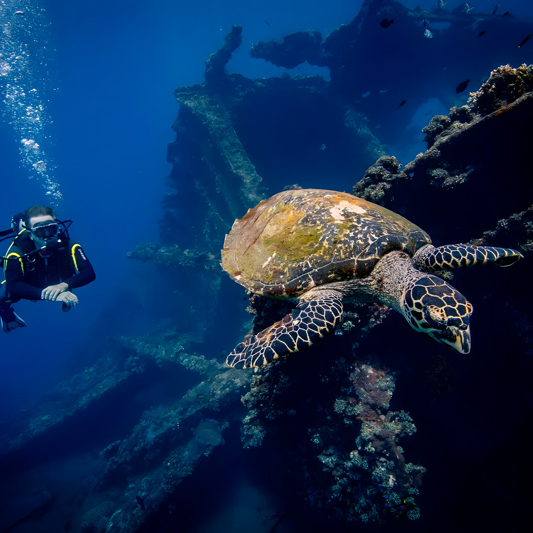 Scuba Diving in Tulamben