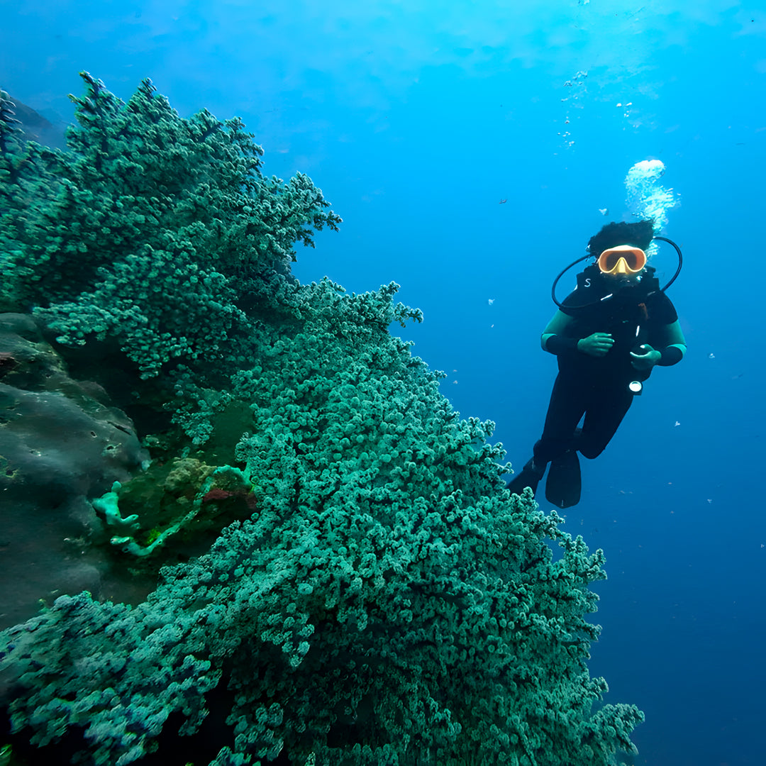 Scuba Diving Fun Dive in Nusa Penida