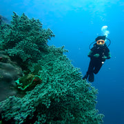 Advanced Open Water Scuba Diving Course in Bali Sanctum Dive