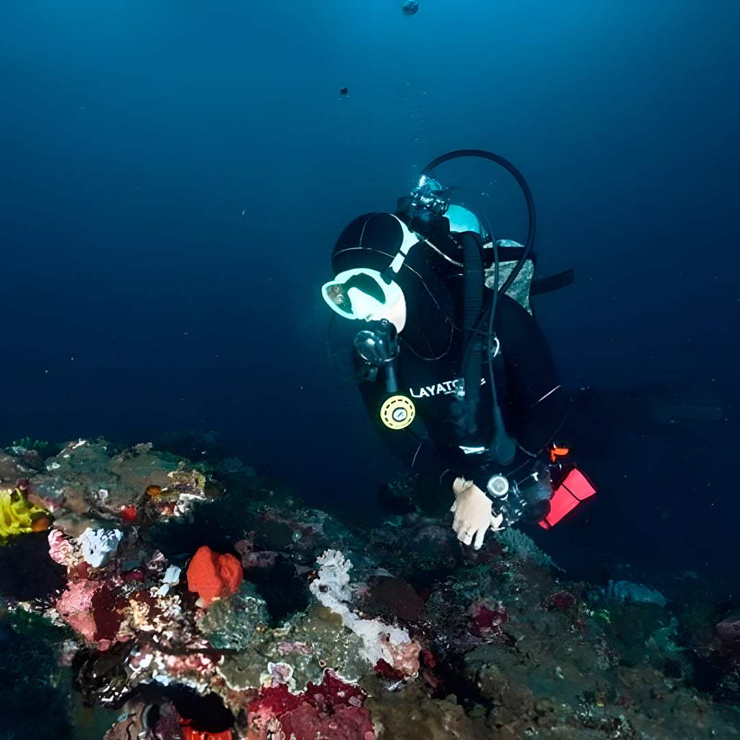 Scuba Diving Fun Dive in Nusa Penida