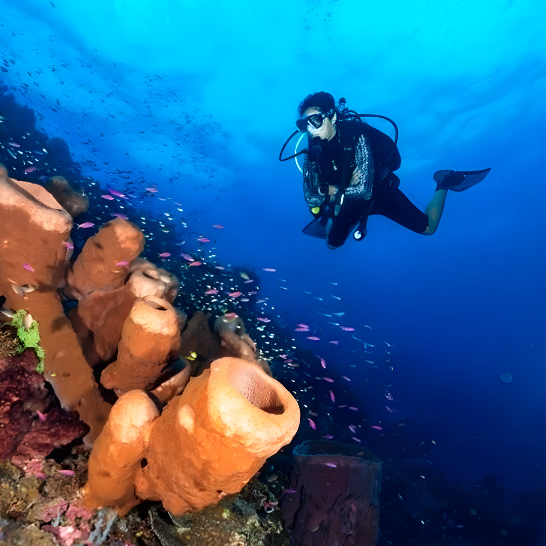 Scuba Diving Fun Dive in Nusa Penida