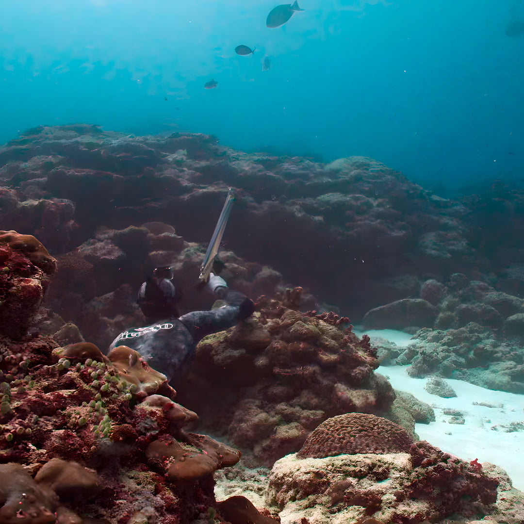 Bali Beginner Spearfishing Course